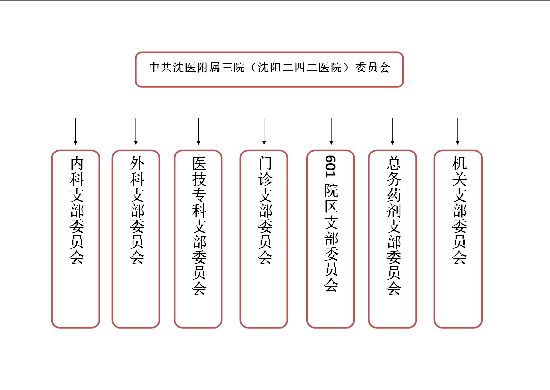 党委架构图设计图片