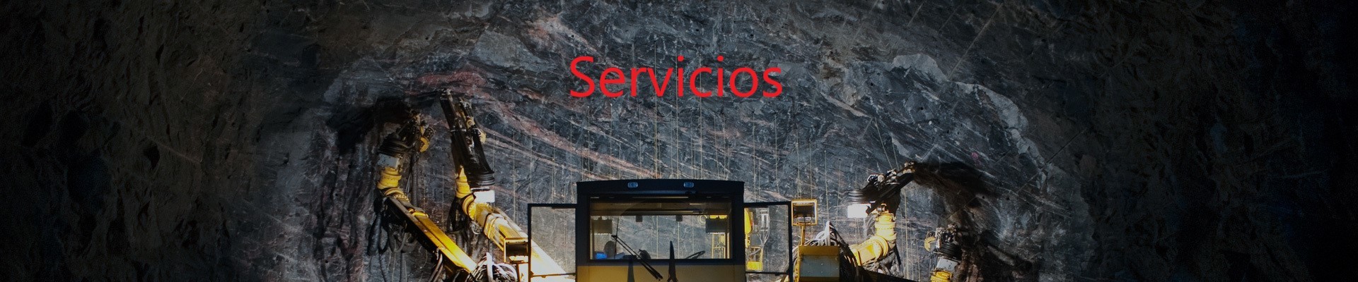 Servicios