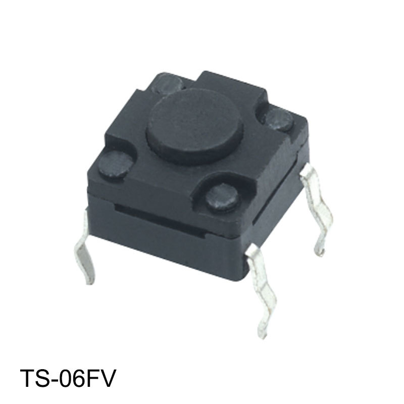 TS-06FV