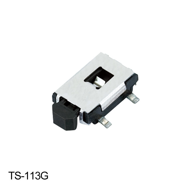 TS-113G