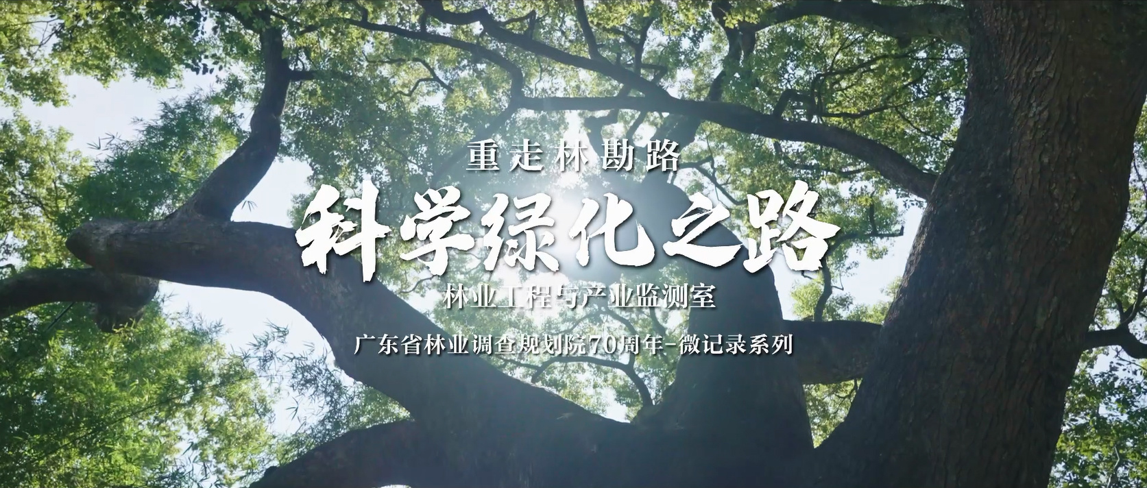 科学绿化之路