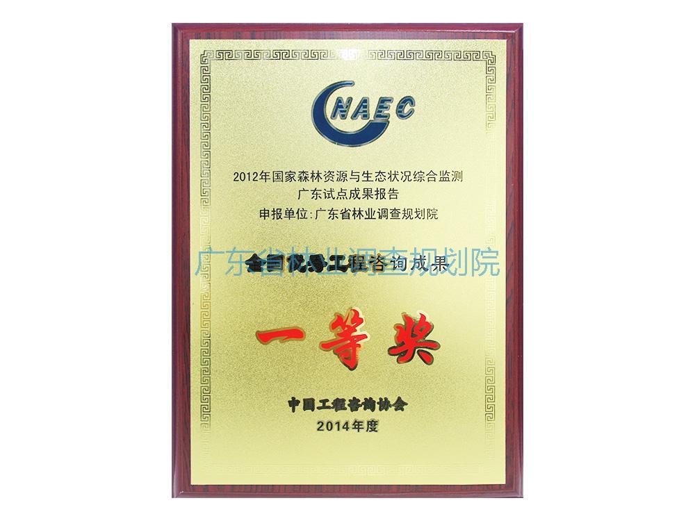 全国优秀工程咨询成果一等奖
