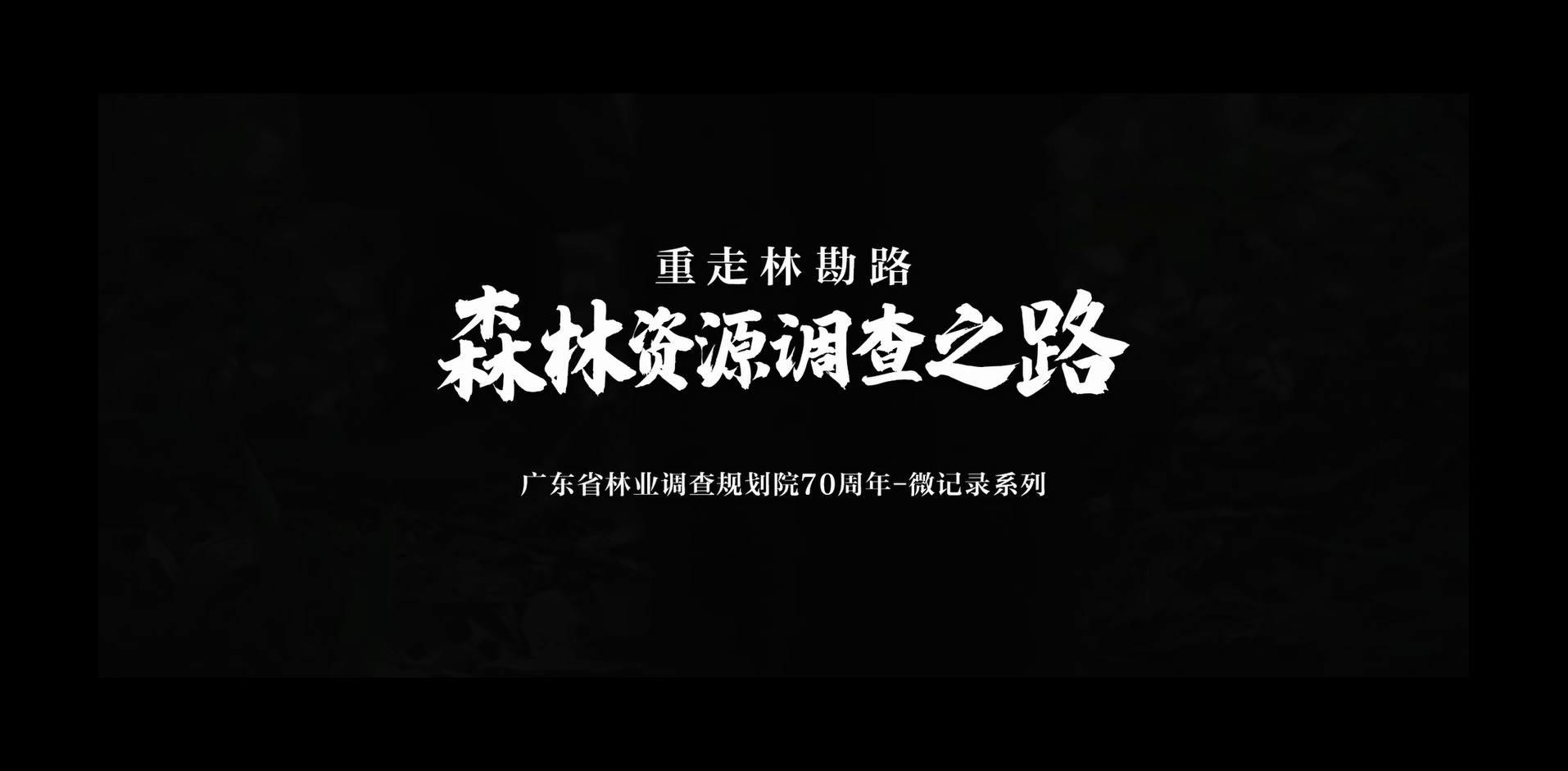 森林资源调查之路