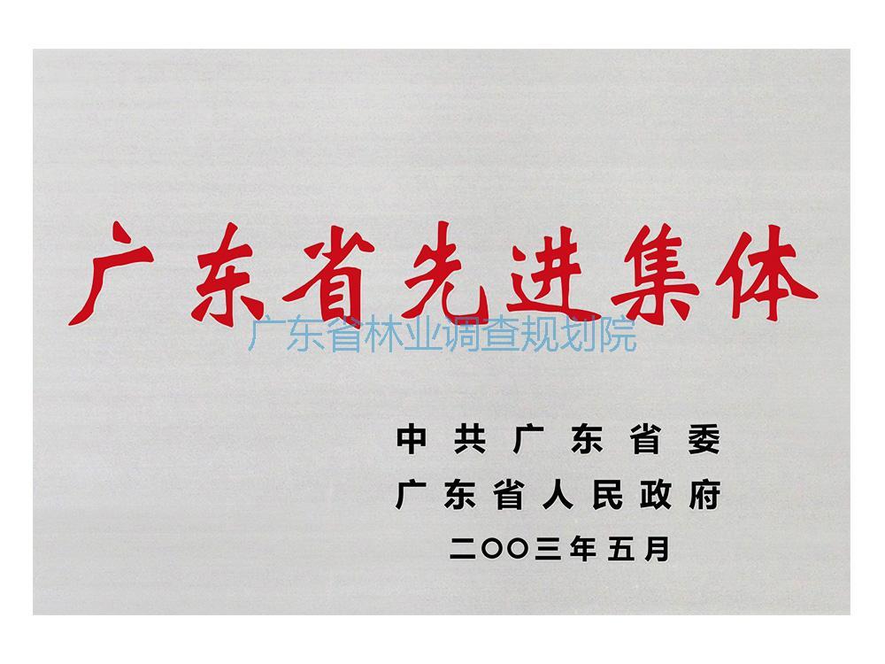 广东省先进集体
