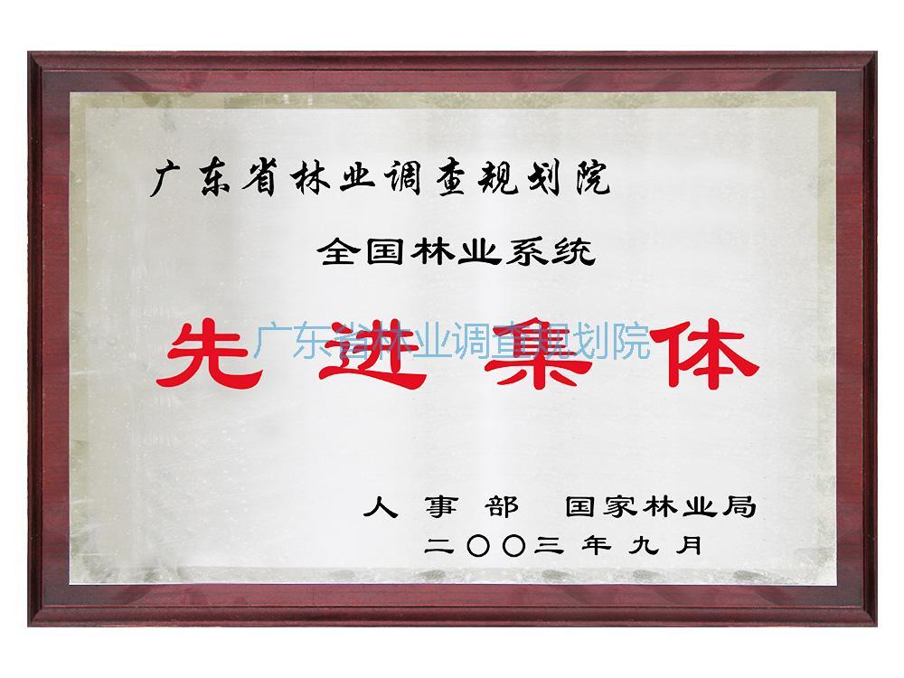 全国林业系统先进集体