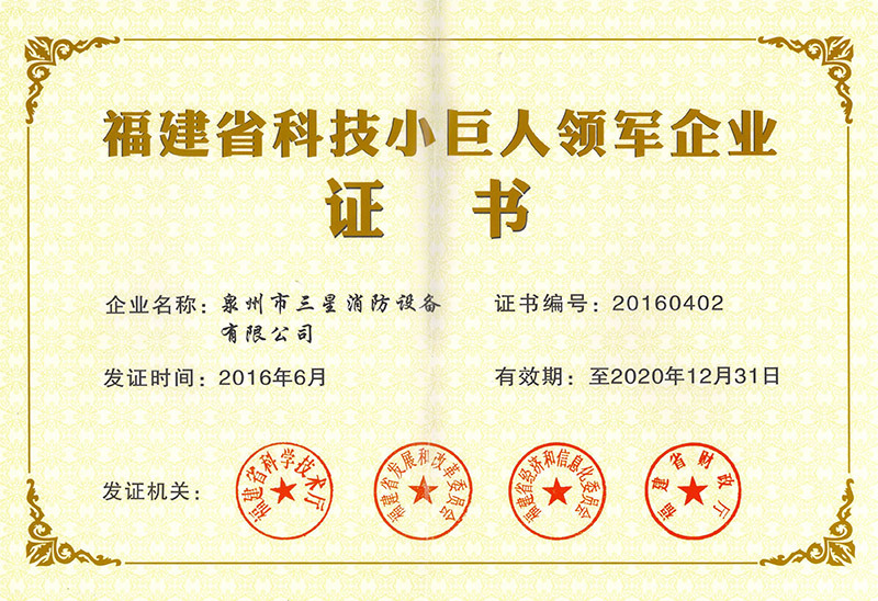 福建省科技小巨人领军企业
