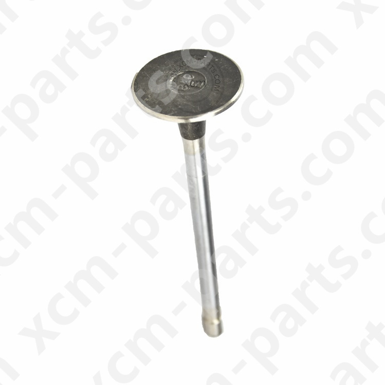 ISUZU 6UZ1 Engine Valve Exhaust 8973886448 8973886440 Exhaust Valve Excavator Engine Space Parts
