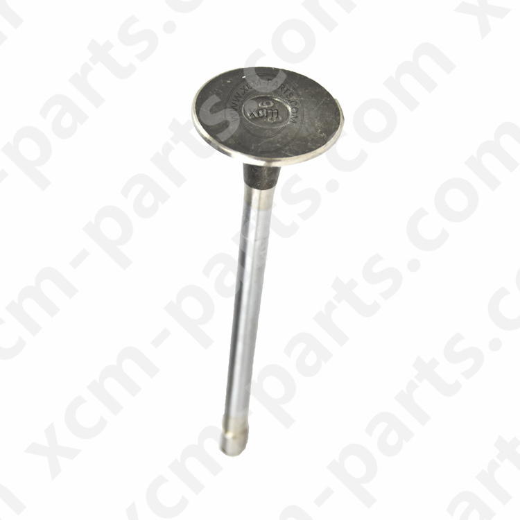 ISUZU 6UZ1 Engine Inlet Valve 8973886436 8973886433 for Excavator Engine Parts