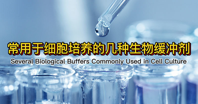 常用于细胞培养的几种生物缓冲剂