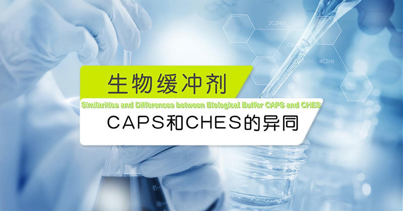 Similarities and differences of biological buffers CAPS and CHES