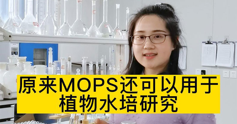 Originally, MOPS could also be used for plant hydroponic research