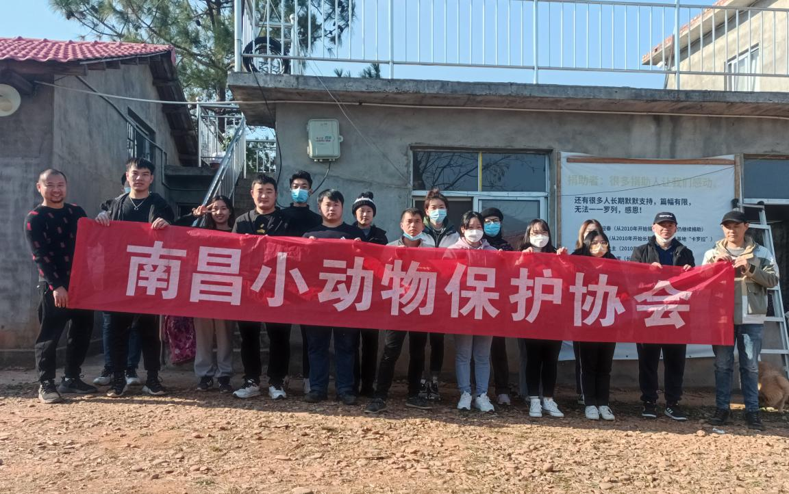 爱护流浪动物   让生命不再流浪