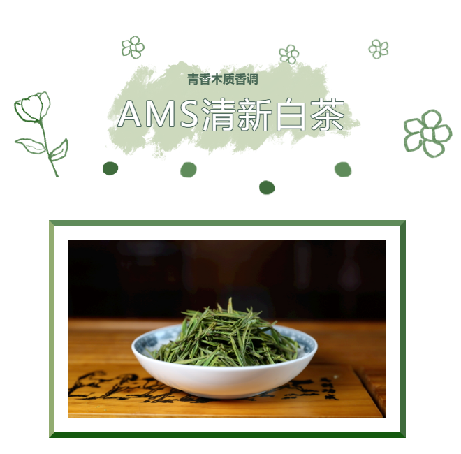 【擴香機精油】AMS清新白茶