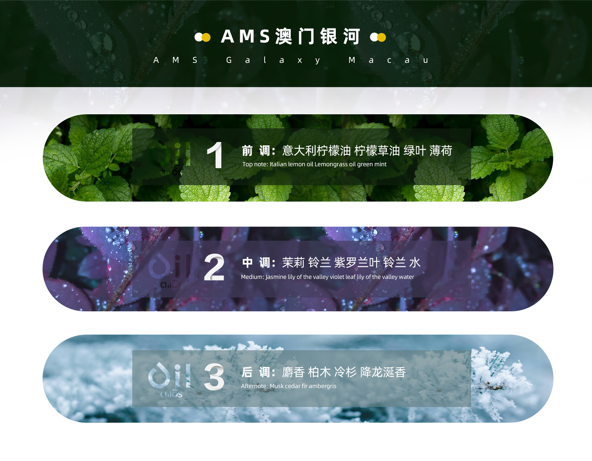 AMS澳門銀河