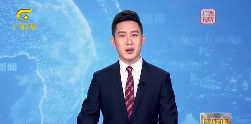 陈刚到北海市调研时强调:狠抓重大项目建设大力发展向海经济，推动北海经济社会高质量发展
