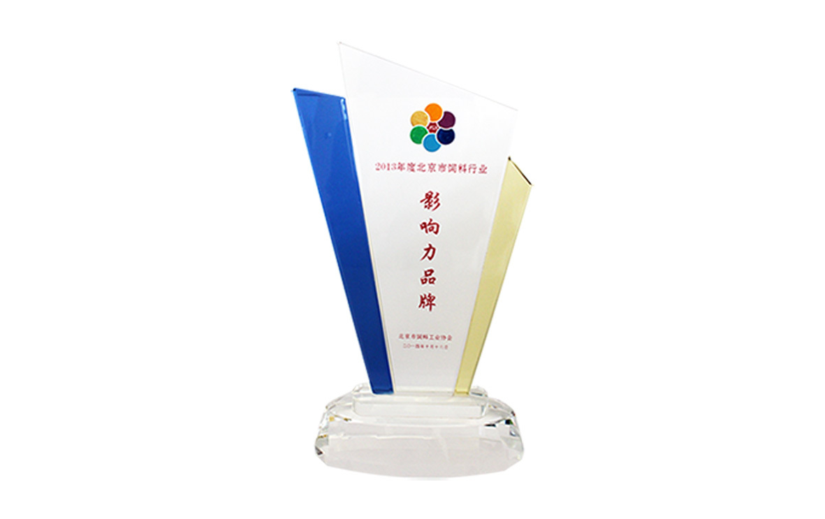 荣获2013年度北京市影响力品牌