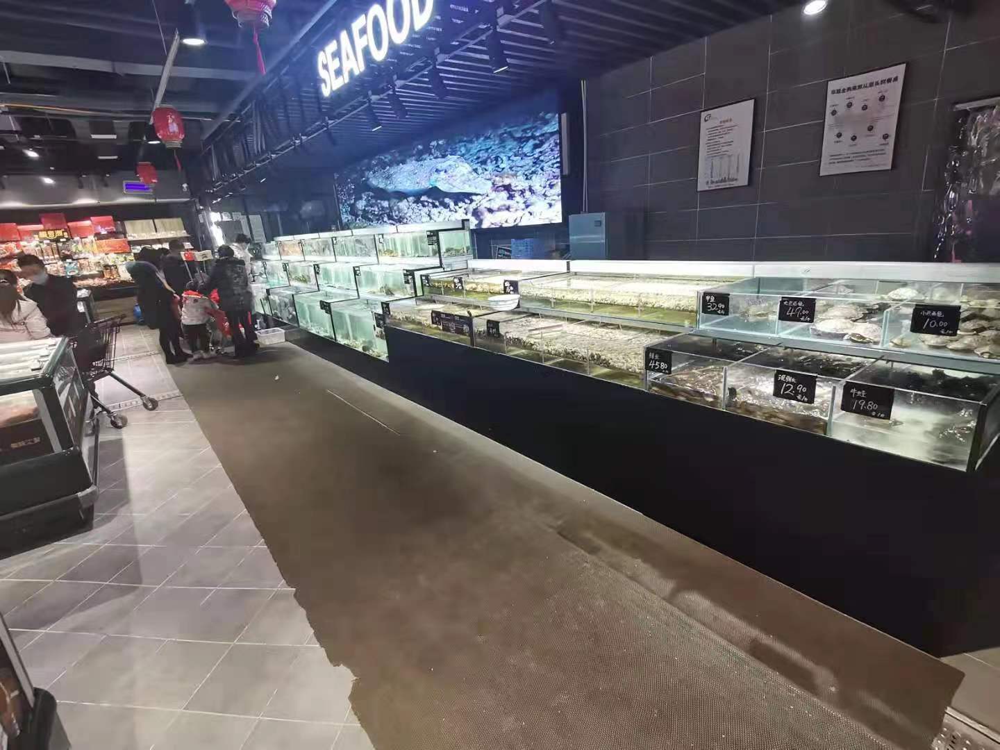 XC-B1款貝類池系列