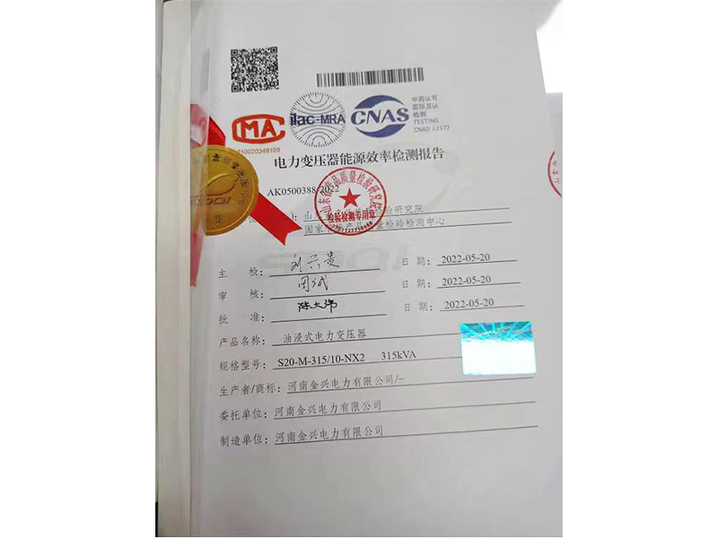 電力變壓器能源效率檢測報(bào)告