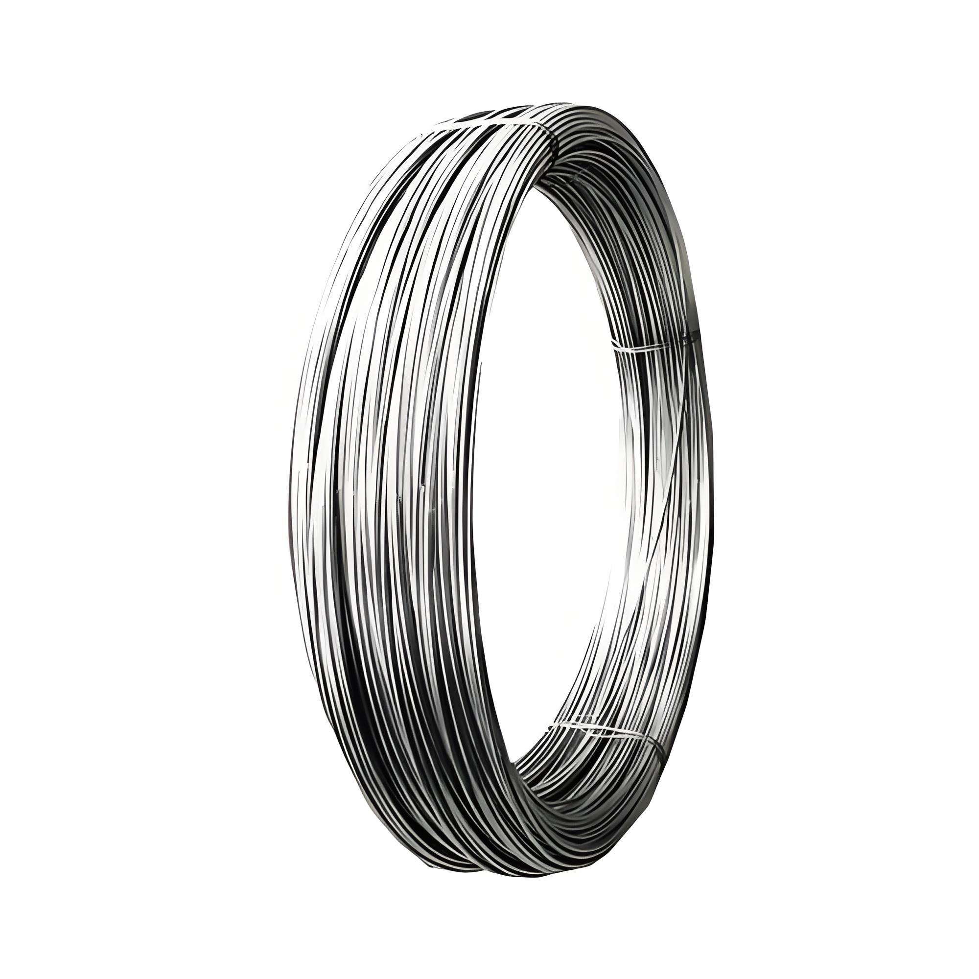 Stainless Steel Wire