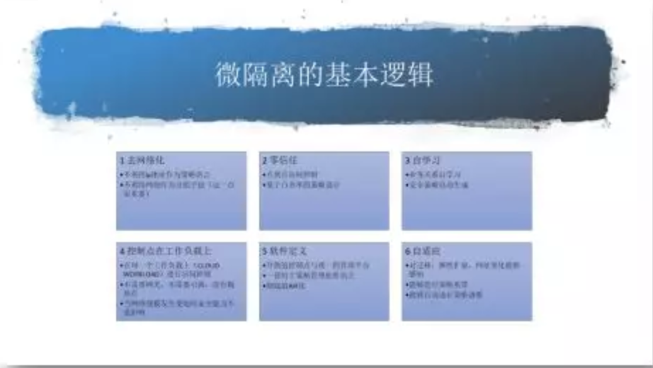 蔷薇灵动 微隔离：图四