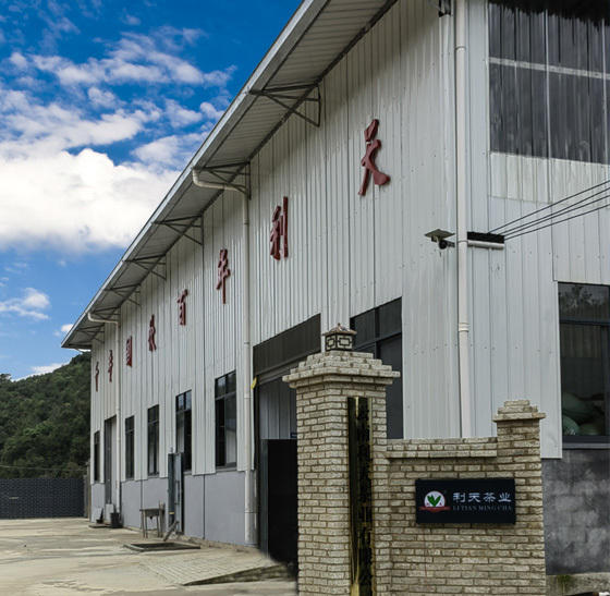 公司簡介 公司簡介