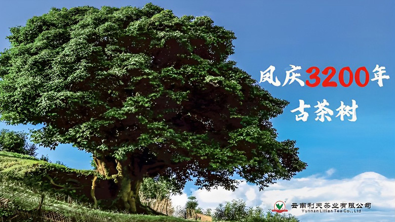 企業(yè)文化 企業(yè)文化