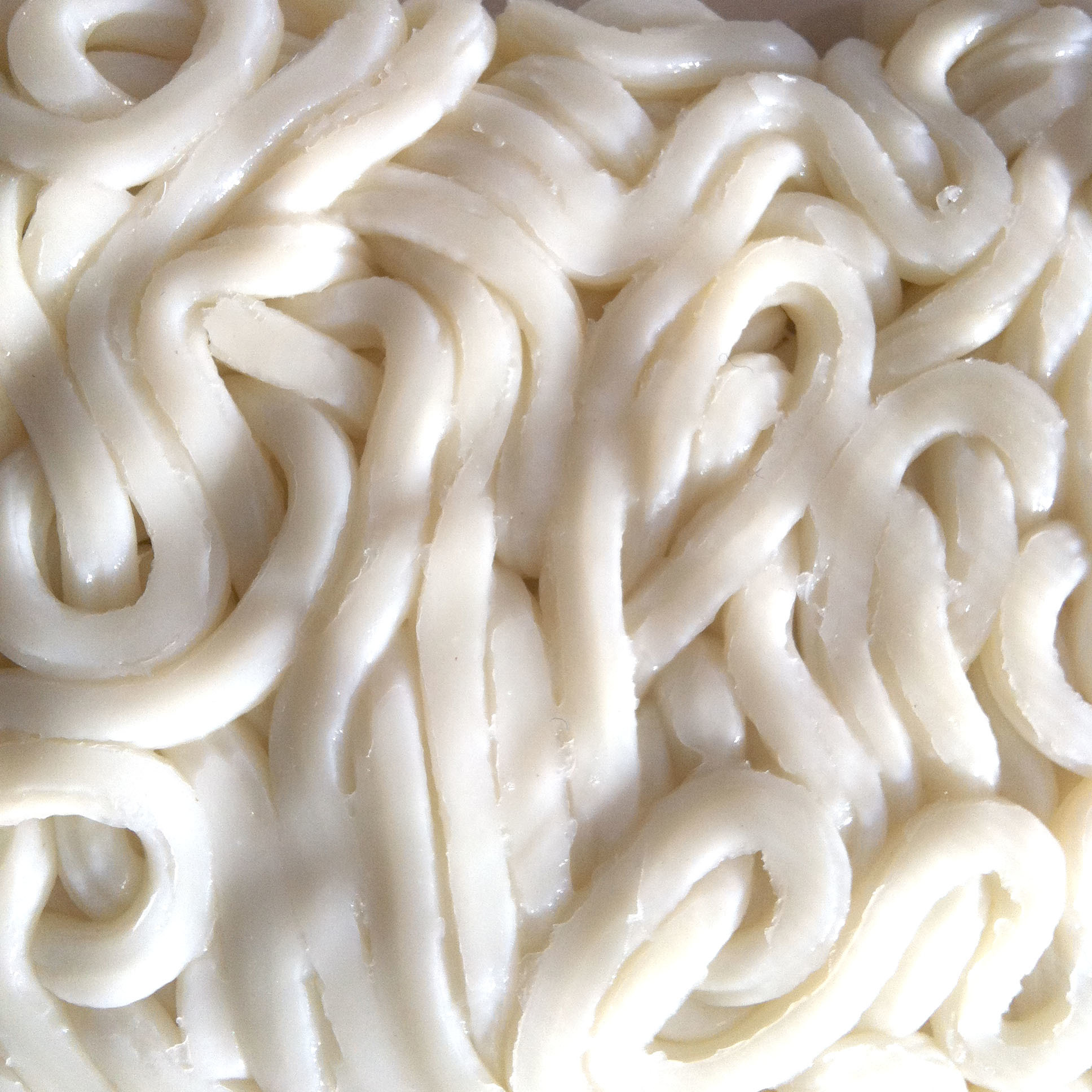 Udon noodles