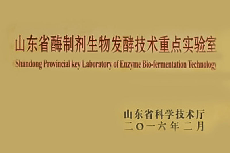 Shandong Provincial Key Laboratory of Enzyme Bio-fermentation Technology