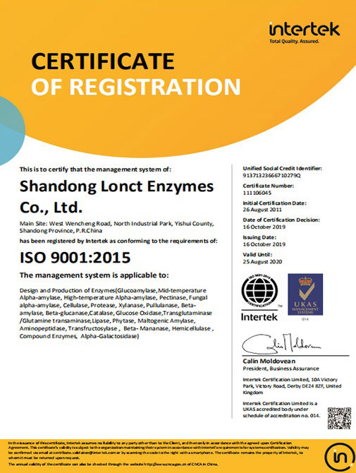 ISO 9001：2015（英文）