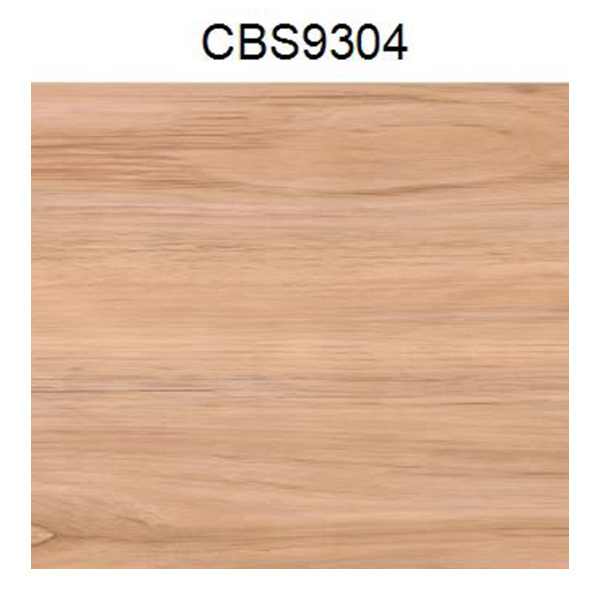 CBS9304