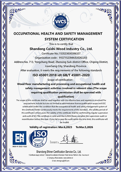 Occupational health management system certification