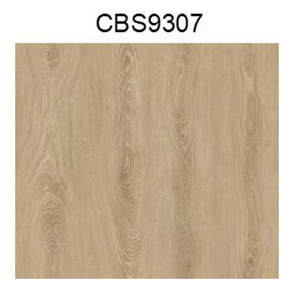 CBS9307