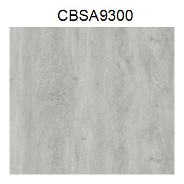 CBSA9300