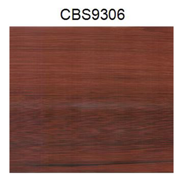 CBS9306