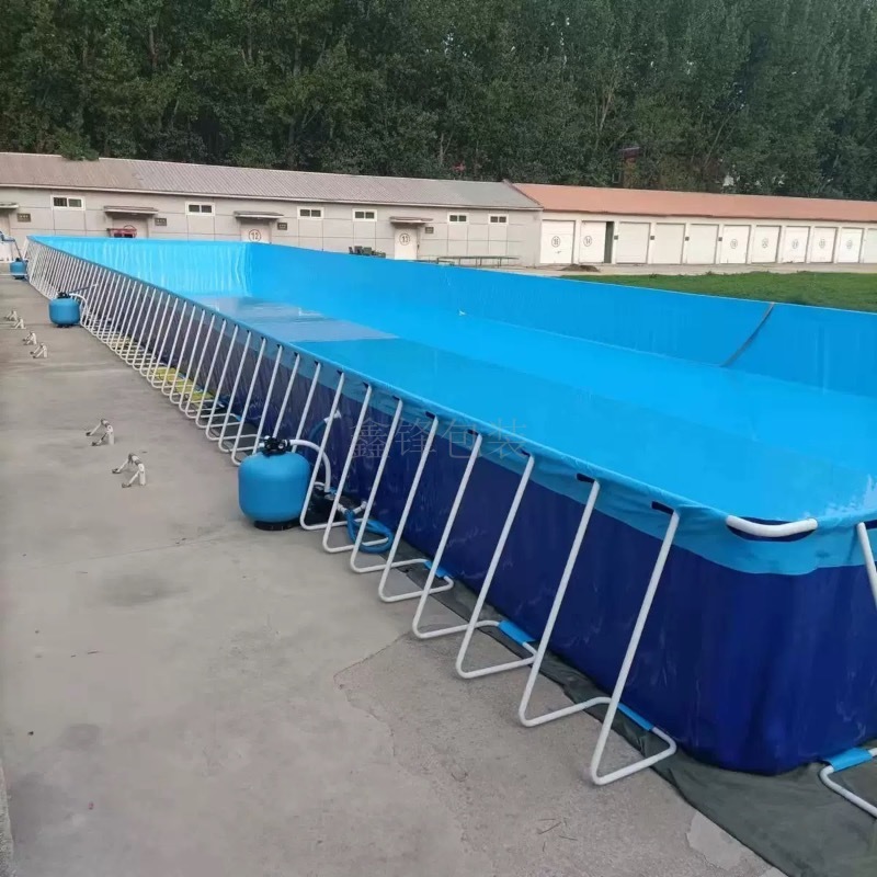 地上大型游泳池