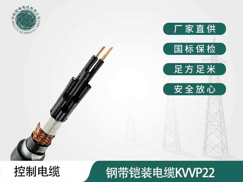 钢带铠装电缆KVVP22