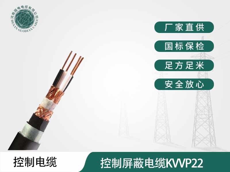 控制屏蔽電纜KVVP22