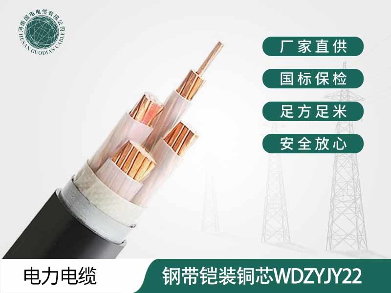 钢带铠装铜芯电力电缆WDZYJY22