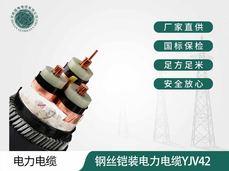鋼絲鎧裝電力電纜YJV42