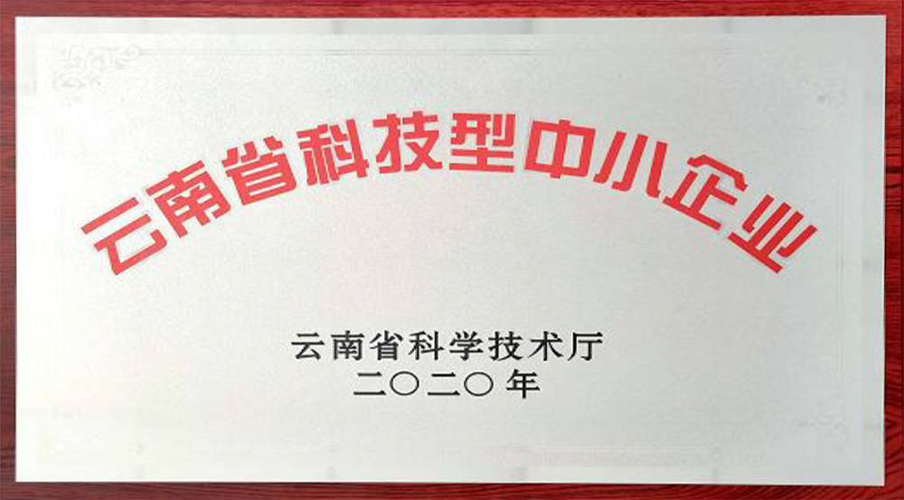 云南省科技型中小企業