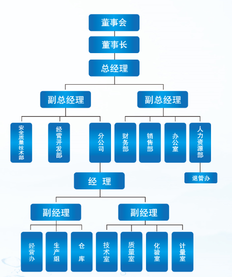 發(fā)展歷程