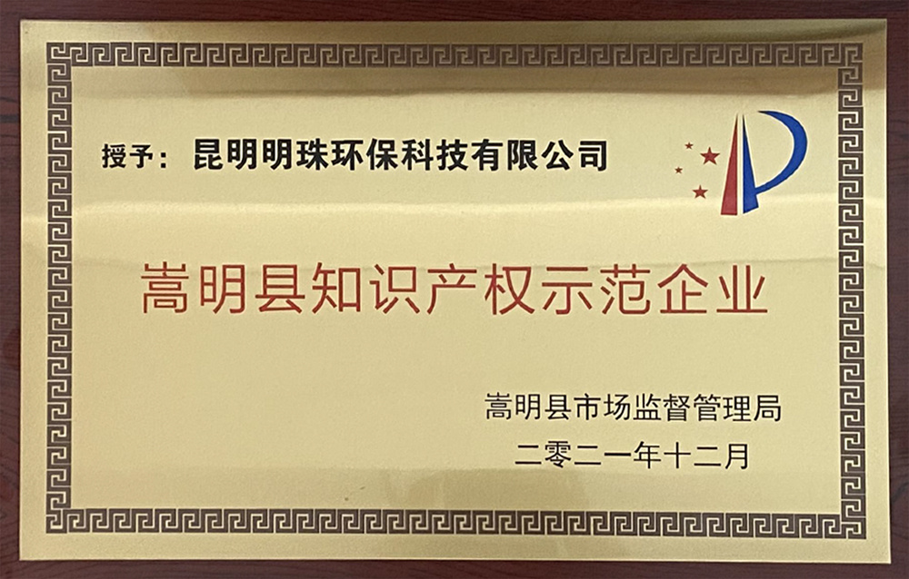 嵩明縣知識產權示范企業