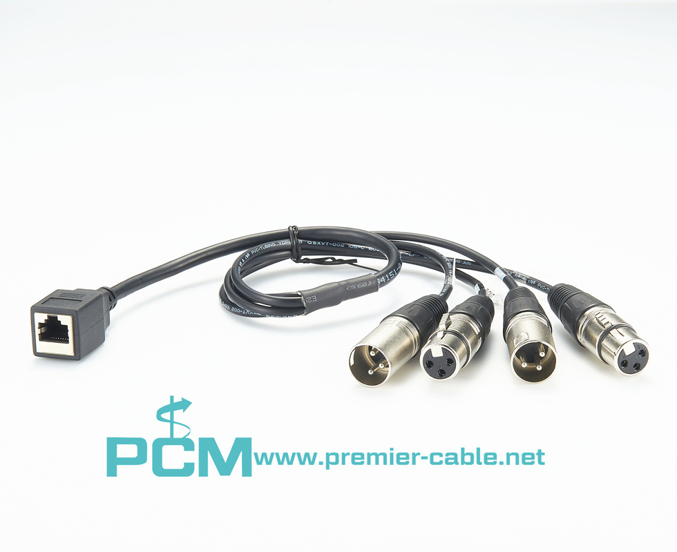 Ethernet to XLR breakout cable