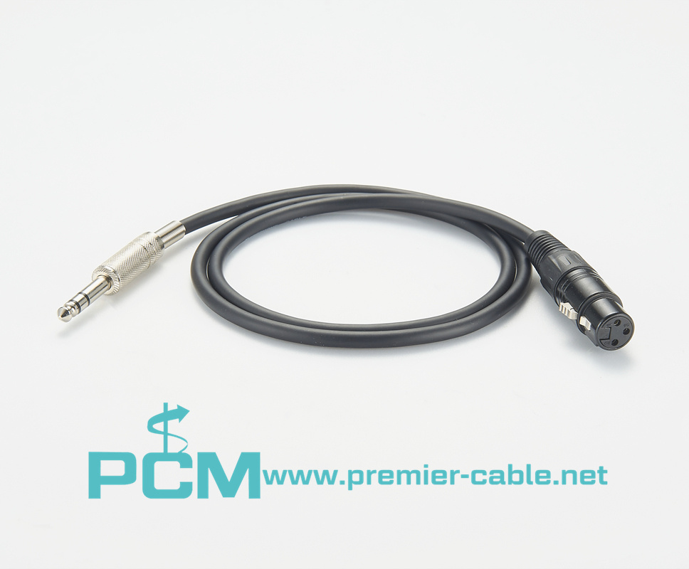 Guitar to XLR Cable 
