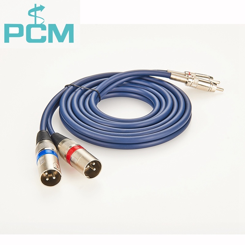 XLR to RCA Cable