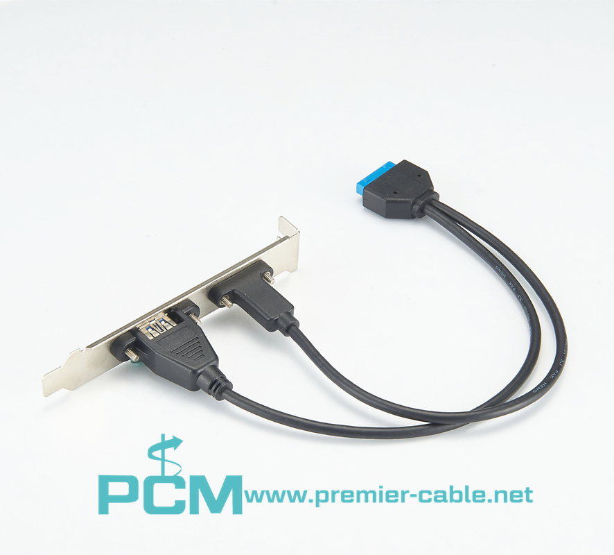 USB 3.1 Panel Mount Cable with 2 Ports