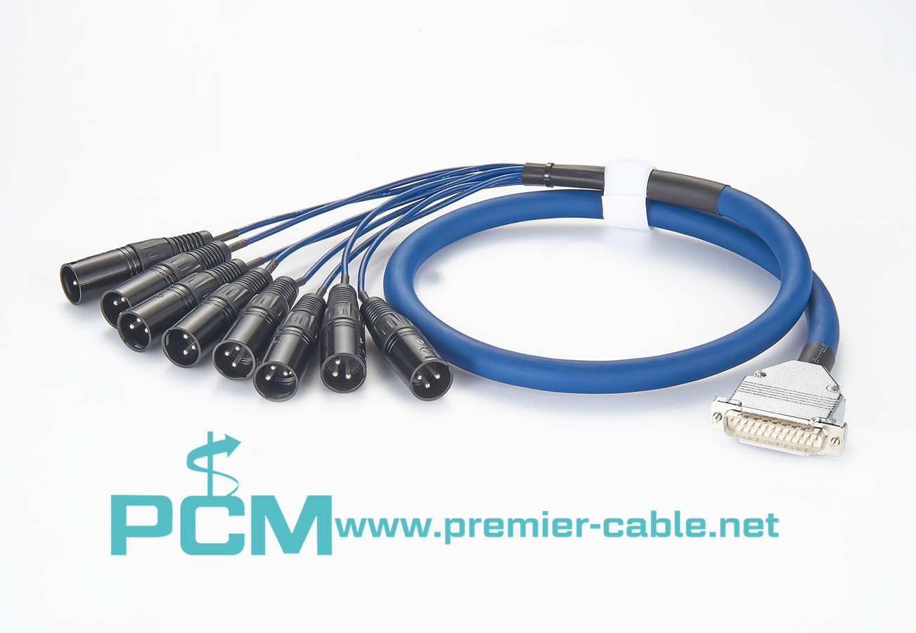 Analog DB25 to XLR Male Snake Cable