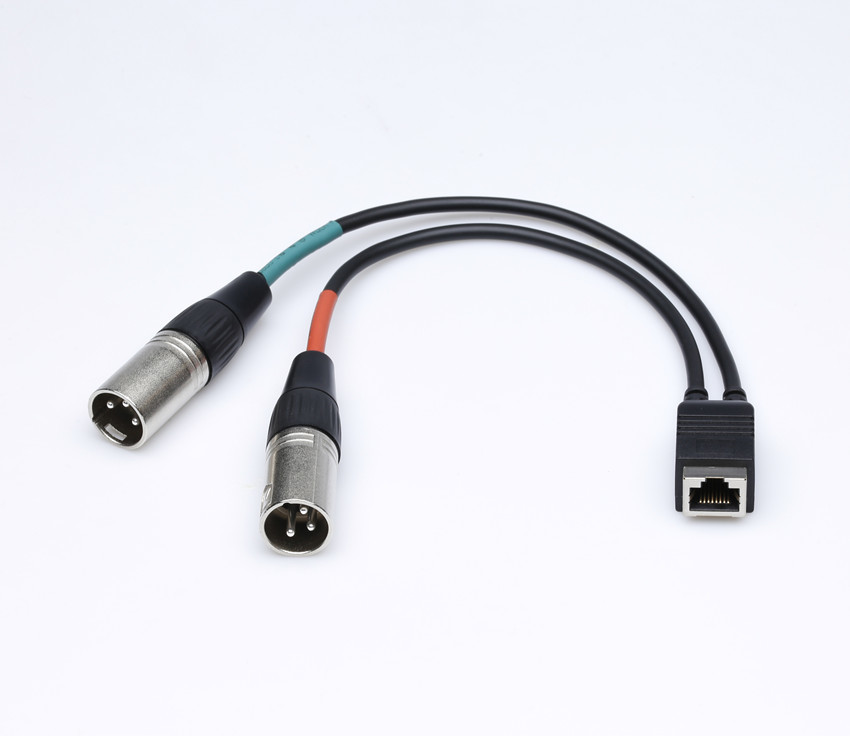 Axia Adapter Cable