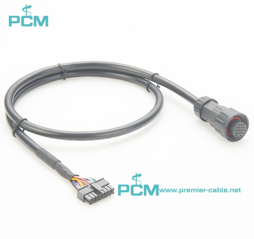 M19 Circular power connector to Molex Micro-fit cable