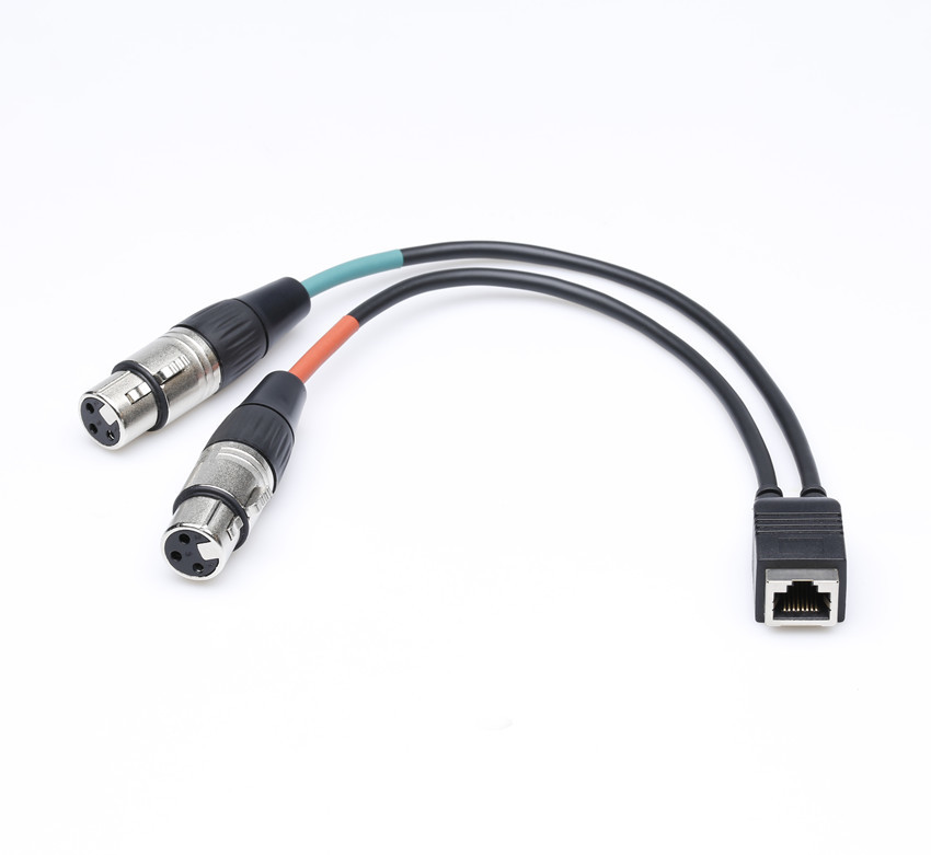 Axia Adapter Cable 20cm dual XLR Female to RJ45 Female